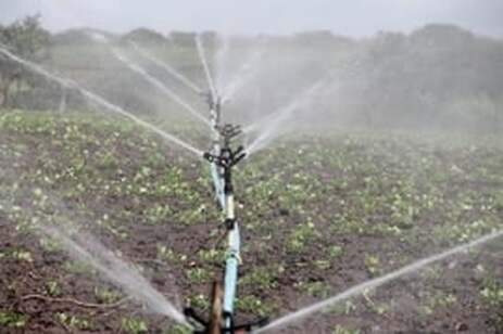 landscapers using irrigation 
